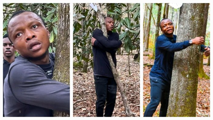 Abubakar Tahiru: Ghanaian man sets Guinness World Record for hugging trees